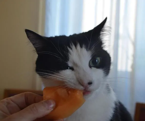 Gli Anemoni Free Parking