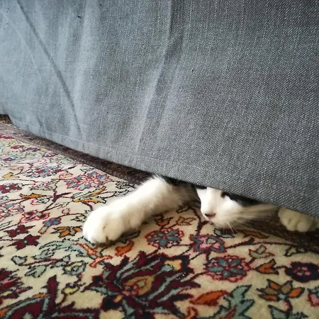 Panzió Gli Anemoni Free Parking