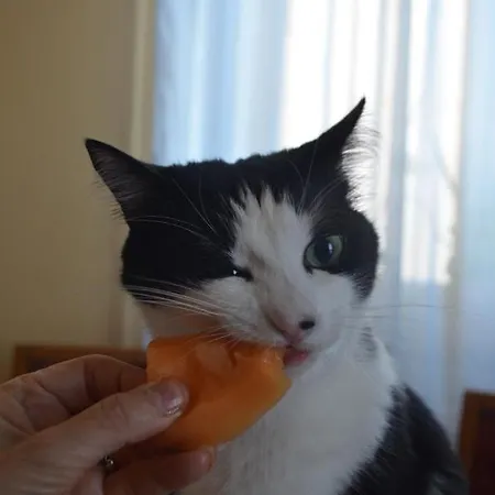 Gli Anemoni Free Parking